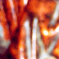 Virgen del Sepulcro Virgen del Sepulcro